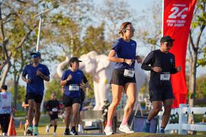 BIB: 
                            <button type="button" onclick="openModal(26188572)" class="btn btn-primary btn-sm float-right btn-popup" data-toggle="modal" data-target=".modal-high-quality">
                        <i class="fas fa-shopping-cart"></i> Add to Cart
                    </button>
                                            <button type="button" onclick="isThisMe(26188572, true)" class="btn btn-success btn-sm float-right btn-popup btn-isme hidden" data-toggle="tooltip" data-placement="bottom" title="นี่คือรูปของคุณใช่ไหม คลิกที่นี่เพื่อเอาเข้าอัลบั้ม">
                        <i class="fas fa-plus"></i> Add to album
                    </button>
                    <button type="button" onclick="isThisMe(26188572, false)" class="btn btn-warning btn-sm float-right btn-popup btn-isnotme hidden">
                        <i class="fas fa-ban"></i> Remove from album
                    </button>