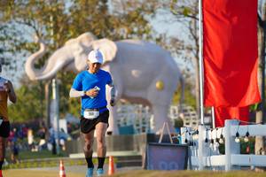 BIB: 
                            <button type="button" onclick="openModal(26188184)" class="btn btn-primary btn-sm float-right btn-popup" data-toggle="modal" data-target=".modal-high-quality">
                        <i class="fas fa-shopping-cart"></i> Add to Cart
                    </button>
                                            <button type="button" onclick="isThisMe(26188184, true)" class="btn btn-success btn-sm float-right btn-popup btn-isme hidden" data-toggle="tooltip" data-placement="bottom" title="นี่คือรูปของคุณใช่ไหม คลิกที่นี่เพื่อเอาเข้าอัลบั้ม">
                        <i class="fas fa-plus"></i> Add to album
                    </button>
                    <button type="button" onclick="isThisMe(26188184, false)" class="btn btn-warning btn-sm float-right btn-popup btn-isnotme hidden">
                        <i class="fas fa-ban"></i> Remove from album
                    </button>