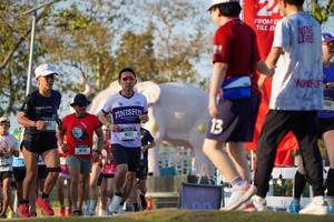 BIB: 
                            <button type="button" onclick="openModal(26188493)" class="btn btn-primary btn-sm float-right btn-popup" data-toggle="modal" data-target=".modal-high-quality">
                        <i class="fas fa-shopping-cart"></i> Add to Cart
                    </button>
                                            <button type="button" onclick="isThisMe(26188493, true)" class="btn btn-success btn-sm float-right btn-popup btn-isme hidden" data-toggle="tooltip" data-placement="bottom" title="นี่คือรูปของคุณใช่ไหม คลิกที่นี่เพื่อเอาเข้าอัลบั้ม">
                        <i class="fas fa-plus"></i> Add to album
                    </button>
                    <button type="button" onclick="isThisMe(26188493, false)" class="btn btn-warning btn-sm float-right btn-popup btn-isnotme hidden">
                        <i class="fas fa-ban"></i> Remove from album
                    </button>