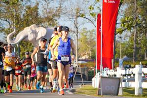 BIB: 
                            <button type="button" onclick="openModal(26187595)" class="btn btn-primary btn-sm float-right btn-popup" data-toggle="modal" data-target=".modal-high-quality">
                        <i class="fas fa-shopping-cart"></i> Add to Cart
                    </button>
                                            <button type="button" onclick="isThisMe(26187595, true)" class="btn btn-success btn-sm float-right btn-popup btn-isme hidden" data-toggle="tooltip" data-placement="bottom" title="นี่คือรูปของคุณใช่ไหม คลิกที่นี่เพื่อเอาเข้าอัลบั้ม">
                        <i class="fas fa-plus"></i> Add to album
                    </button>
                    <button type="button" onclick="isThisMe(26187595, false)" class="btn btn-warning btn-sm float-right btn-popup btn-isnotme hidden">
                        <i class="fas fa-ban"></i> Remove from album
                    </button>