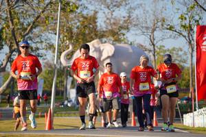 BIB: 
                            <button type="button" onclick="openModal(26187958)" class="btn btn-primary btn-sm float-right btn-popup" data-toggle="modal" data-target=".modal-high-quality">
                        <i class="fas fa-shopping-cart"></i> Add to Cart
                    </button>
                                            <button type="button" onclick="isThisMe(26187958, true)" class="btn btn-success btn-sm float-right btn-popup btn-isme hidden" data-toggle="tooltip" data-placement="bottom" title="นี่คือรูปของคุณใช่ไหม คลิกที่นี่เพื่อเอาเข้าอัลบั้ม">
                        <i class="fas fa-plus"></i> Add to album
                    </button>
                    <button type="button" onclick="isThisMe(26187958, false)" class="btn btn-warning btn-sm float-right btn-popup btn-isnotme hidden">
                        <i class="fas fa-ban"></i> Remove from album
                    </button>