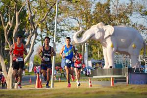 BIB: 
                            <button type="button" onclick="openModal(26188192)" class="btn btn-primary btn-sm float-right btn-popup" data-toggle="modal" data-target=".modal-high-quality">
                        <i class="fas fa-shopping-cart"></i> Add to Cart
                    </button>
                                            <button type="button" onclick="isThisMe(26188192, true)" class="btn btn-success btn-sm float-right btn-popup btn-isme hidden" data-toggle="tooltip" data-placement="bottom" title="นี่คือรูปของคุณใช่ไหม คลิกที่นี่เพื่อเอาเข้าอัลบั้ม">
                        <i class="fas fa-plus"></i> Add to album
                    </button>
                    <button type="button" onclick="isThisMe(26188192, false)" class="btn btn-warning btn-sm float-right btn-popup btn-isnotme hidden">
                        <i class="fas fa-ban"></i> Remove from album
                    </button>