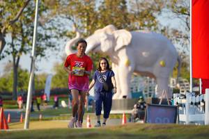 BIB: 
                            <button type="button" onclick="openModal(26188431)" class="btn btn-primary btn-sm float-right btn-popup" data-toggle="modal" data-target=".modal-high-quality">
                        <i class="fas fa-shopping-cart"></i> Add to Cart
                    </button>
                                            <button type="button" onclick="isThisMe(26188431, true)" class="btn btn-success btn-sm float-right btn-popup btn-isme hidden" data-toggle="tooltip" data-placement="bottom" title="นี่คือรูปของคุณใช่ไหม คลิกที่นี่เพื่อเอาเข้าอัลบั้ม">
                        <i class="fas fa-plus"></i> Add to album
                    </button>
                    <button type="button" onclick="isThisMe(26188431, false)" class="btn btn-warning btn-sm float-right btn-popup btn-isnotme hidden">
                        <i class="fas fa-ban"></i> Remove from album
                    </button>