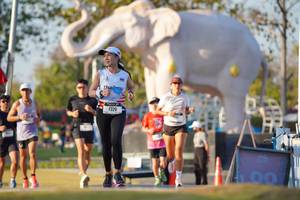 BIB: 
                            <button type="button" onclick="openModal(26188529)" class="btn btn-primary btn-sm float-right btn-popup" data-toggle="modal" data-target=".modal-high-quality">
                        <i class="fas fa-shopping-cart"></i> Add to Cart
                    </button>
                                            <button type="button" onclick="isThisMe(26188529, true)" class="btn btn-success btn-sm float-right btn-popup btn-isme hidden" data-toggle="tooltip" data-placement="bottom" title="นี่คือรูปของคุณใช่ไหม คลิกที่นี่เพื่อเอาเข้าอัลบั้ม">
                        <i class="fas fa-plus"></i> Add to album
                    </button>
                    <button type="button" onclick="isThisMe(26188529, false)" class="btn btn-warning btn-sm float-right btn-popup btn-isnotme hidden">
                        <i class="fas fa-ban"></i> Remove from album
                    </button>