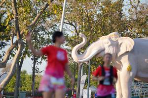 BIB: 
                            <button type="button" onclick="openModal(26189287)" class="btn btn-primary btn-sm float-right btn-popup" data-toggle="modal" data-target=".modal-high-quality">
                        <i class="fas fa-shopping-cart"></i> Add to Cart
                    </button>
                                            <button type="button" onclick="isThisMe(26189287, true)" class="btn btn-success btn-sm float-right btn-popup btn-isme hidden" data-toggle="tooltip" data-placement="bottom" title="นี่คือรูปของคุณใช่ไหม คลิกที่นี่เพื่อเอาเข้าอัลบั้ม">
                        <i class="fas fa-plus"></i> Add to album
                    </button>
                    <button type="button" onclick="isThisMe(26189287, false)" class="btn btn-warning btn-sm float-right btn-popup btn-isnotme hidden">
                        <i class="fas fa-ban"></i> Remove from album
                    </button>