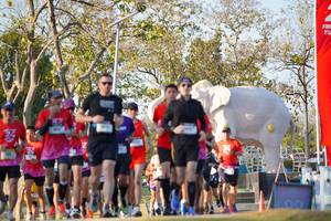 BIB: 
                            <button type="button" onclick="openModal(26188610)" class="btn btn-primary btn-sm float-right btn-popup" data-toggle="modal" data-target=".modal-high-quality">
                        <i class="fas fa-shopping-cart"></i> Add to Cart
                    </button>
                                            <button type="button" onclick="isThisMe(26188610, true)" class="btn btn-success btn-sm float-right btn-popup btn-isme hidden" data-toggle="tooltip" data-placement="bottom" title="นี่คือรูปของคุณใช่ไหม คลิกที่นี่เพื่อเอาเข้าอัลบั้ม">
                        <i class="fas fa-plus"></i> Add to album
                    </button>
                    <button type="button" onclick="isThisMe(26188610, false)" class="btn btn-warning btn-sm float-right btn-popup btn-isnotme hidden">
                        <i class="fas fa-ban"></i> Remove from album
                    </button>