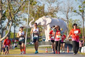 BIB: 
                            <button type="button" onclick="openModal(26187929)" class="btn btn-primary btn-sm float-right btn-popup" data-toggle="modal" data-target=".modal-high-quality">
                        <i class="fas fa-shopping-cart"></i> Add to Cart
                    </button>
                                            <button type="button" onclick="isThisMe(26187929, true)" class="btn btn-success btn-sm float-right btn-popup btn-isme hidden" data-toggle="tooltip" data-placement="bottom" title="นี่คือรูปของคุณใช่ไหม คลิกที่นี่เพื่อเอาเข้าอัลบั้ม">
                        <i class="fas fa-plus"></i> Add to album
                    </button>
                    <button type="button" onclick="isThisMe(26187929, false)" class="btn btn-warning btn-sm float-right btn-popup btn-isnotme hidden">
                        <i class="fas fa-ban"></i> Remove from album
                    </button>