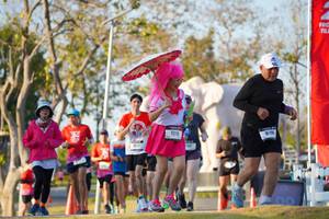 BIB: 
                            <button type="button" onclick="openModal(26188772)" class="btn btn-primary btn-sm float-right btn-popup" data-toggle="modal" data-target=".modal-high-quality">
                        <i class="fas fa-shopping-cart"></i> Add to Cart
                    </button>
                                            <button type="button" onclick="isThisMe(26188772, true)" class="btn btn-success btn-sm float-right btn-popup btn-isme hidden" data-toggle="tooltip" data-placement="bottom" title="นี่คือรูปของคุณใช่ไหม คลิกที่นี่เพื่อเอาเข้าอัลบั้ม">
                        <i class="fas fa-plus"></i> Add to album
                    </button>
                    <button type="button" onclick="isThisMe(26188772, false)" class="btn btn-warning btn-sm float-right btn-popup btn-isnotme hidden">
                        <i class="fas fa-ban"></i> Remove from album
                    </button>