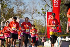 BIB: 
                            <button type="button" onclick="openModal(26187903)" class="btn btn-primary btn-sm float-right btn-popup" data-toggle="modal" data-target=".modal-high-quality">
                        <i class="fas fa-shopping-cart"></i> Add to Cart
                    </button>
                                            <button type="button" onclick="isThisMe(26187903, true)" class="btn btn-success btn-sm float-right btn-popup btn-isme hidden" data-toggle="tooltip" data-placement="bottom" title="นี่คือรูปของคุณใช่ไหม คลิกที่นี่เพื่อเอาเข้าอัลบั้ม">
                        <i class="fas fa-plus"></i> Add to album
                    </button>
                    <button type="button" onclick="isThisMe(26187903, false)" class="btn btn-warning btn-sm float-right btn-popup btn-isnotme hidden">
                        <i class="fas fa-ban"></i> Remove from album
                    </button>