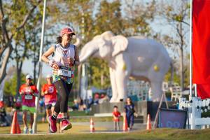 BIB: 
                            <button type="button" onclick="openModal(26188378)" class="btn btn-primary btn-sm float-right btn-popup" data-toggle="modal" data-target=".modal-high-quality">
                        <i class="fas fa-shopping-cart"></i> Add to Cart
                    </button>
                                            <button type="button" onclick="isThisMe(26188378, true)" class="btn btn-success btn-sm float-right btn-popup btn-isme hidden" data-toggle="tooltip" data-placement="bottom" title="นี่คือรูปของคุณใช่ไหม คลิกที่นี่เพื่อเอาเข้าอัลบั้ม">
                        <i class="fas fa-plus"></i> Add to album
                    </button>
                    <button type="button" onclick="isThisMe(26188378, false)" class="btn btn-warning btn-sm float-right btn-popup btn-isnotme hidden">
                        <i class="fas fa-ban"></i> Remove from album
                    </button>