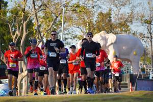 BIB: 
                            <button type="button" onclick="openModal(26188602)" class="btn btn-primary btn-sm float-right btn-popup" data-toggle="modal" data-target=".modal-high-quality">
                        <i class="fas fa-shopping-cart"></i> Add to Cart
                    </button>
                                            <button type="button" onclick="isThisMe(26188602, true)" class="btn btn-success btn-sm float-right btn-popup btn-isme hidden" data-toggle="tooltip" data-placement="bottom" title="นี่คือรูปของคุณใช่ไหม คลิกที่นี่เพื่อเอาเข้าอัลบั้ม">
                        <i class="fas fa-plus"></i> Add to album
                    </button>
                    <button type="button" onclick="isThisMe(26188602, false)" class="btn btn-warning btn-sm float-right btn-popup btn-isnotme hidden">
                        <i class="fas fa-ban"></i> Remove from album
                    </button>