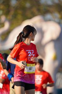 BIB: 
                            <button type="button" onclick="openModal(26188014)" class="btn btn-primary btn-sm float-right btn-popup" data-toggle="modal" data-target=".modal-high-quality">
                        <i class="fas fa-shopping-cart"></i> Add to Cart
                    </button>
                                            <button type="button" onclick="isThisMe(26188014, true)" class="btn btn-success btn-sm float-right btn-popup btn-isme hidden" data-toggle="tooltip" data-placement="bottom" title="นี่คือรูปของคุณใช่ไหม คลิกที่นี่เพื่อเอาเข้าอัลบั้ม">
                        <i class="fas fa-plus"></i> Add to album
                    </button>
                    <button type="button" onclick="isThisMe(26188014, false)" class="btn btn-warning btn-sm float-right btn-popup btn-isnotme hidden">
                        <i class="fas fa-ban"></i> Remove from album
                    </button>