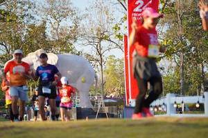 BIB: 
                            <button type="button" onclick="openModal(26189150)" class="btn btn-primary btn-sm float-right btn-popup" data-toggle="modal" data-target=".modal-high-quality">
                        <i class="fas fa-shopping-cart"></i> Add to Cart
                    </button>
                                            <button type="button" onclick="isThisMe(26189150, true)" class="btn btn-success btn-sm float-right btn-popup btn-isme hidden" data-toggle="tooltip" data-placement="bottom" title="นี่คือรูปของคุณใช่ไหม คลิกที่นี่เพื่อเอาเข้าอัลบั้ม">
                        <i class="fas fa-plus"></i> Add to album
                    </button>
                    <button type="button" onclick="isThisMe(26189150, false)" class="btn btn-warning btn-sm float-right btn-popup btn-isnotme hidden">
                        <i class="fas fa-ban"></i> Remove from album
                    </button>