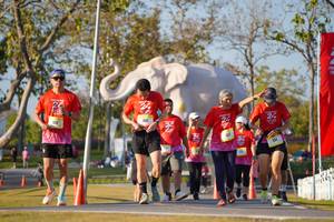 BIB: 
                            <button type="button" onclick="openModal(26187953)" class="btn btn-primary btn-sm float-right btn-popup" data-toggle="modal" data-target=".modal-high-quality">
                        <i class="fas fa-shopping-cart"></i> Add to Cart
                    </button>
                                            <button type="button" onclick="isThisMe(26187953, true)" class="btn btn-success btn-sm float-right btn-popup btn-isme hidden" data-toggle="tooltip" data-placement="bottom" title="นี่คือรูปของคุณใช่ไหม คลิกที่นี่เพื่อเอาเข้าอัลบั้ม">
                        <i class="fas fa-plus"></i> Add to album
                    </button>
                    <button type="button" onclick="isThisMe(26187953, false)" class="btn btn-warning btn-sm float-right btn-popup btn-isnotme hidden">
                        <i class="fas fa-ban"></i> Remove from album
                    </button>