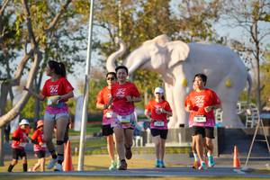 BIB: 
                            <button type="button" onclick="openModal(26189302)" class="btn btn-primary btn-sm float-right btn-popup" data-toggle="modal" data-target=".modal-high-quality">
                        <i class="fas fa-shopping-cart"></i> Add to Cart
                    </button>
                                            <button type="button" onclick="isThisMe(26189302, true)" class="btn btn-success btn-sm float-right btn-popup btn-isme hidden" data-toggle="tooltip" data-placement="bottom" title="นี่คือรูปของคุณใช่ไหม คลิกที่นี่เพื่อเอาเข้าอัลบั้ม">
                        <i class="fas fa-plus"></i> Add to album
                    </button>
                    <button type="button" onclick="isThisMe(26189302, false)" class="btn btn-warning btn-sm float-right btn-popup btn-isnotme hidden">
                        <i class="fas fa-ban"></i> Remove from album
                    </button>