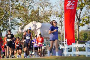 BIB: 
                            <button type="button" onclick="openModal(26188596)" class="btn btn-primary btn-sm float-right btn-popup" data-toggle="modal" data-target=".modal-high-quality">
                        <i class="fas fa-shopping-cart"></i> Add to Cart
                    </button>
                                            <button type="button" onclick="isThisMe(26188596, true)" class="btn btn-success btn-sm float-right btn-popup btn-isme hidden" data-toggle="tooltip" data-placement="bottom" title="นี่คือรูปของคุณใช่ไหม คลิกที่นี่เพื่อเอาเข้าอัลบั้ม">
                        <i class="fas fa-plus"></i> Add to album
                    </button>
                    <button type="button" onclick="isThisMe(26188596, false)" class="btn btn-warning btn-sm float-right btn-popup btn-isnotme hidden">
                        <i class="fas fa-ban"></i> Remove from album
                    </button>