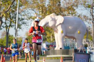 BIB: 
                            <button type="button" onclick="openModal(26188214)" class="btn btn-primary btn-sm float-right btn-popup" data-toggle="modal" data-target=".modal-high-quality">
                        <i class="fas fa-shopping-cart"></i> Add to Cart
                    </button>
                                            <button type="button" onclick="isThisMe(26188214, true)" class="btn btn-success btn-sm float-right btn-popup btn-isme hidden" data-toggle="tooltip" data-placement="bottom" title="นี่คือรูปของคุณใช่ไหม คลิกที่นี่เพื่อเอาเข้าอัลบั้ม">
                        <i class="fas fa-plus"></i> Add to album
                    </button>
                    <button type="button" onclick="isThisMe(26188214, false)" class="btn btn-warning btn-sm float-right btn-popup btn-isnotme hidden">
                        <i class="fas fa-ban"></i> Remove from album
                    </button>