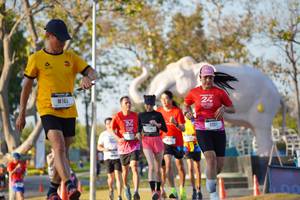 BIB: 
                            <button type="button" onclick="openModal(26188681)" class="btn btn-primary btn-sm float-right btn-popup" data-toggle="modal" data-target=".modal-high-quality">
                        <i class="fas fa-shopping-cart"></i> Add to Cart
                    </button>
                                            <button type="button" onclick="isThisMe(26188681, true)" class="btn btn-success btn-sm float-right btn-popup btn-isme hidden" data-toggle="tooltip" data-placement="bottom" title="นี่คือรูปของคุณใช่ไหม คลิกที่นี่เพื่อเอาเข้าอัลบั้ม">
                        <i class="fas fa-plus"></i> Add to album
                    </button>
                    <button type="button" onclick="isThisMe(26188681, false)" class="btn btn-warning btn-sm float-right btn-popup btn-isnotme hidden">
                        <i class="fas fa-ban"></i> Remove from album
                    </button>