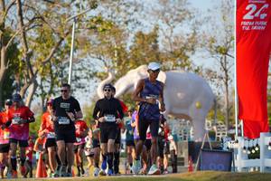 BIB: 
                            <button type="button" onclick="openModal(26188592)" class="btn btn-primary btn-sm float-right btn-popup" data-toggle="modal" data-target=".modal-high-quality">
                        <i class="fas fa-shopping-cart"></i> Add to Cart
                    </button>
                                            <button type="button" onclick="isThisMe(26188592, true)" class="btn btn-success btn-sm float-right btn-popup btn-isme hidden" data-toggle="tooltip" data-placement="bottom" title="นี่คือรูปของคุณใช่ไหม คลิกที่นี่เพื่อเอาเข้าอัลบั้ม">
                        <i class="fas fa-plus"></i> Add to album
                    </button>
                    <button type="button" onclick="isThisMe(26188592, false)" class="btn btn-warning btn-sm float-right btn-popup btn-isnotme hidden">
                        <i class="fas fa-ban"></i> Remove from album
                    </button>