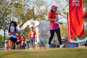 BIB: 
                            <button type="button" onclick="openModal(26189218)" class="btn btn-primary btn-sm float-right btn-popup" data-toggle="modal" data-target=".modal-high-quality">
                        <i class="fas fa-shopping-cart"></i> Add to Cart
                    </button>
                                            <button type="button" onclick="isThisMe(26189218, true)" class="btn btn-success btn-sm float-right btn-popup btn-isme hidden" data-toggle="tooltip" data-placement="bottom" title="นี่คือรูปของคุณใช่ไหม คลิกที่นี่เพื่อเอาเข้าอัลบั้ม">
                        <i class="fas fa-plus"></i> Add to album
                    </button>
                    <button type="button" onclick="isThisMe(26189218, false)" class="btn btn-warning btn-sm float-right btn-popup btn-isnotme hidden">
                        <i class="fas fa-ban"></i> Remove from album
                    </button>