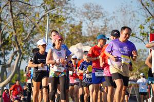 BIB: 
                            <button type="button" onclick="openModal(26187671)" class="btn btn-primary btn-sm float-right btn-popup" data-toggle="modal" data-target=".modal-high-quality">
                        <i class="fas fa-shopping-cart"></i> Add to Cart
                    </button>
                                            <button type="button" onclick="isThisMe(26187671, true)" class="btn btn-success btn-sm float-right btn-popup btn-isme hidden" data-toggle="tooltip" data-placement="bottom" title="นี่คือรูปของคุณใช่ไหม คลิกที่นี่เพื่อเอาเข้าอัลบั้ม">
                        <i class="fas fa-plus"></i> Add to album
                    </button>
                    <button type="button" onclick="isThisMe(26187671, false)" class="btn btn-warning btn-sm float-right btn-popup btn-isnotme hidden">
                        <i class="fas fa-ban"></i> Remove from album
                    </button>