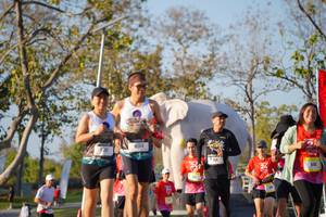 BIB: 
                            <button type="button" onclick="openModal(26187943)" class="btn btn-primary btn-sm float-right btn-popup" data-toggle="modal" data-target=".modal-high-quality">
                        <i class="fas fa-shopping-cart"></i> Add to Cart
                    </button>
                                            <button type="button" onclick="isThisMe(26187943, true)" class="btn btn-success btn-sm float-right btn-popup btn-isme hidden" data-toggle="tooltip" data-placement="bottom" title="นี่คือรูปของคุณใช่ไหม คลิกที่นี่เพื่อเอาเข้าอัลบั้ม">
                        <i class="fas fa-plus"></i> Add to album
                    </button>
                    <button type="button" onclick="isThisMe(26187943, false)" class="btn btn-warning btn-sm float-right btn-popup btn-isnotme hidden">
                        <i class="fas fa-ban"></i> Remove from album
                    </button>