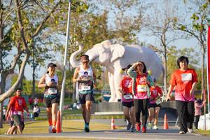 BIB: 
                            <button type="button" onclick="openModal(26187930)" class="btn btn-primary btn-sm float-right btn-popup" data-toggle="modal" data-target=".modal-high-quality">
                        <i class="fas fa-shopping-cart"></i> Add to Cart
                    </button>
                                            <button type="button" onclick="isThisMe(26187930, true)" class="btn btn-success btn-sm float-right btn-popup btn-isme hidden" data-toggle="tooltip" data-placement="bottom" title="นี่คือรูปของคุณใช่ไหม คลิกที่นี่เพื่อเอาเข้าอัลบั้ม">
                        <i class="fas fa-plus"></i> Add to album
                    </button>
                    <button type="button" onclick="isThisMe(26187930, false)" class="btn btn-warning btn-sm float-right btn-popup btn-isnotme hidden">
                        <i class="fas fa-ban"></i> Remove from album
                    </button>