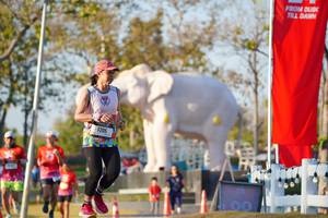 BIB: 
                            <button type="button" onclick="openModal(26188379)" class="btn btn-primary btn-sm float-right btn-popup" data-toggle="modal" data-target=".modal-high-quality">
                        <i class="fas fa-shopping-cart"></i> Add to Cart
                    </button>
                                            <button type="button" onclick="isThisMe(26188379, true)" class="btn btn-success btn-sm float-right btn-popup btn-isme hidden" data-toggle="tooltip" data-placement="bottom" title="นี่คือรูปของคุณใช่ไหม คลิกที่นี่เพื่อเอาเข้าอัลบั้ม">
                        <i class="fas fa-plus"></i> Add to album
                    </button>
                    <button type="button" onclick="isThisMe(26188379, false)" class="btn btn-warning btn-sm float-right btn-popup btn-isnotme hidden">
                        <i class="fas fa-ban"></i> Remove from album
                    </button>