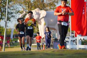 BIB: 
                            <button type="button" onclick="openModal(26188409)" class="btn btn-primary btn-sm float-right btn-popup" data-toggle="modal" data-target=".modal-high-quality">
                        <i class="fas fa-shopping-cart"></i> Add to Cart
                    </button>
                                            <button type="button" onclick="isThisMe(26188409, true)" class="btn btn-success btn-sm float-right btn-popup btn-isme hidden" data-toggle="tooltip" data-placement="bottom" title="นี่คือรูปของคุณใช่ไหม คลิกที่นี่เพื่อเอาเข้าอัลบั้ม">
                        <i class="fas fa-plus"></i> Add to album
                    </button>
                    <button type="button" onclick="isThisMe(26188409, false)" class="btn btn-warning btn-sm float-right btn-popup btn-isnotme hidden">
                        <i class="fas fa-ban"></i> Remove from album
                    </button>