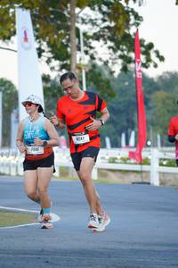 BIB: 
                            <button type="button" onclick="openModal(26192181)" class="btn btn-primary btn-sm float-right btn-popup" data-toggle="modal" data-target=".modal-high-quality">
                        <i class="fas fa-shopping-cart"></i> Add to Cart
                    </button>
                                            <button type="button" onclick="isThisMe(26192181, true)" class="btn btn-success btn-sm float-right btn-popup btn-isme hidden" data-toggle="tooltip" data-placement="bottom" title="นี่คือรูปของคุณใช่ไหม คลิกที่นี่เพื่อเอาเข้าอัลบั้ม">
                        <i class="fas fa-plus"></i> Add to album
                    </button>
                    <button type="button" onclick="isThisMe(26192181, false)" class="btn btn-warning btn-sm float-right btn-popup btn-isnotme hidden">
                        <i class="fas fa-ban"></i> Remove from album
                    </button>