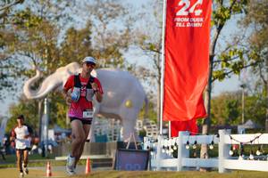 BIB: 
                            <button type="button" onclick="openModal(26188219)" class="btn btn-primary btn-sm float-right btn-popup" data-toggle="modal" data-target=".modal-high-quality">
                        <i class="fas fa-shopping-cart"></i> Add to Cart
                    </button>
                                            <button type="button" onclick="isThisMe(26188219, true)" class="btn btn-success btn-sm float-right btn-popup btn-isme hidden" data-toggle="tooltip" data-placement="bottom" title="นี่คือรูปของคุณใช่ไหม คลิกที่นี่เพื่อเอาเข้าอัลบั้ม">
                        <i class="fas fa-plus"></i> Add to album
                    </button>
                    <button type="button" onclick="isThisMe(26188219, false)" class="btn btn-warning btn-sm float-right btn-popup btn-isnotme hidden">
                        <i class="fas fa-ban"></i> Remove from album
                    </button>