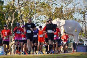 BIB: 
                            <button type="button" onclick="openModal(26188603)" class="btn btn-primary btn-sm float-right btn-popup" data-toggle="modal" data-target=".modal-high-quality">
                        <i class="fas fa-shopping-cart"></i> Add to Cart
                    </button>
                                            <button type="button" onclick="isThisMe(26188603, true)" class="btn btn-success btn-sm float-right btn-popup btn-isme hidden" data-toggle="tooltip" data-placement="bottom" title="นี่คือรูปของคุณใช่ไหม คลิกที่นี่เพื่อเอาเข้าอัลบั้ม">
                        <i class="fas fa-plus"></i> Add to album
                    </button>
                    <button type="button" onclick="isThisMe(26188603, false)" class="btn btn-warning btn-sm float-right btn-popup btn-isnotme hidden">
                        <i class="fas fa-ban"></i> Remove from album
                    </button>