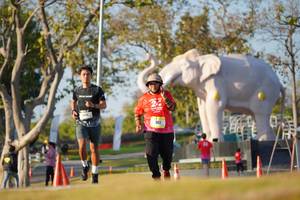 BIB: 
                            <button type="button" onclick="openModal(26188059)" class="btn btn-primary btn-sm float-right btn-popup" data-toggle="modal" data-target=".modal-high-quality">
                        <i class="fas fa-shopping-cart"></i> Add to Cart
                    </button>
                                            <button type="button" onclick="isThisMe(26188059, true)" class="btn btn-success btn-sm float-right btn-popup btn-isme hidden" data-toggle="tooltip" data-placement="bottom" title="นี่คือรูปของคุณใช่ไหม คลิกที่นี่เพื่อเอาเข้าอัลบั้ม">
                        <i class="fas fa-plus"></i> Add to album
                    </button>
                    <button type="button" onclick="isThisMe(26188059, false)" class="btn btn-warning btn-sm float-right btn-popup btn-isnotme hidden">
                        <i class="fas fa-ban"></i> Remove from album
                    </button>