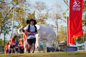 BIB: 
                            <button type="button" onclick="openModal(26189214)" class="btn btn-primary btn-sm float-right btn-popup" data-toggle="modal" data-target=".modal-high-quality">
                        <i class="fas fa-shopping-cart"></i> Add to Cart
                    </button>
                                            <button type="button" onclick="isThisMe(26189214, true)" class="btn btn-success btn-sm float-right btn-popup btn-isme hidden" data-toggle="tooltip" data-placement="bottom" title="นี่คือรูปของคุณใช่ไหม คลิกที่นี่เพื่อเอาเข้าอัลบั้ม">
                        <i class="fas fa-plus"></i> Add to album
                    </button>
                    <button type="button" onclick="isThisMe(26189214, false)" class="btn btn-warning btn-sm float-right btn-popup btn-isnotme hidden">
                        <i class="fas fa-ban"></i> Remove from album
                    </button>