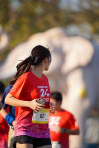 BIB: 
                            <button type="button" onclick="openModal(26188015)" class="btn btn-primary btn-sm float-right btn-popup" data-toggle="modal" data-target=".modal-high-quality">
                        <i class="fas fa-shopping-cart"></i> Add to Cart
                    </button>
                                            <button type="button" onclick="isThisMe(26188015, true)" class="btn btn-success btn-sm float-right btn-popup btn-isme hidden" data-toggle="tooltip" data-placement="bottom" title="นี่คือรูปของคุณใช่ไหม คลิกที่นี่เพื่อเอาเข้าอัลบั้ม">
                        <i class="fas fa-plus"></i> Add to album
                    </button>
                    <button type="button" onclick="isThisMe(26188015, false)" class="btn btn-warning btn-sm float-right btn-popup btn-isnotme hidden">
                        <i class="fas fa-ban"></i> Remove from album
                    </button>