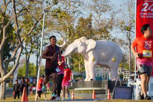 BIB: 
                            <button type="button" onclick="openModal(26188137)" class="btn btn-primary btn-sm float-right btn-popup" data-toggle="modal" data-target=".modal-high-quality">
                        <i class="fas fa-shopping-cart"></i> Add to Cart
                    </button>
                                            <button type="button" onclick="isThisMe(26188137, true)" class="btn btn-success btn-sm float-right btn-popup btn-isme hidden" data-toggle="tooltip" data-placement="bottom" title="นี่คือรูปของคุณใช่ไหม คลิกที่นี่เพื่อเอาเข้าอัลบั้ม">
                        <i class="fas fa-plus"></i> Add to album
                    </button>
                    <button type="button" onclick="isThisMe(26188137, false)" class="btn btn-warning btn-sm float-right btn-popup btn-isnotme hidden">
                        <i class="fas fa-ban"></i> Remove from album
                    </button>