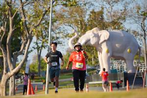 BIB: 
                            <button type="button" onclick="openModal(26188057)" class="btn btn-primary btn-sm float-right btn-popup" data-toggle="modal" data-target=".modal-high-quality">
                        <i class="fas fa-shopping-cart"></i> Add to Cart
                    </button>
                                            <button type="button" onclick="isThisMe(26188057, true)" class="btn btn-success btn-sm float-right btn-popup btn-isme hidden" data-toggle="tooltip" data-placement="bottom" title="นี่คือรูปของคุณใช่ไหม คลิกที่นี่เพื่อเอาเข้าอัลบั้ม">
                        <i class="fas fa-plus"></i> Add to album
                    </button>
                    <button type="button" onclick="isThisMe(26188057, false)" class="btn btn-warning btn-sm float-right btn-popup btn-isnotme hidden">
                        <i class="fas fa-ban"></i> Remove from album
                    </button>