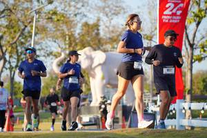 BIB: 
                            <button type="button" onclick="openModal(26188573)" class="btn btn-primary btn-sm float-right btn-popup" data-toggle="modal" data-target=".modal-high-quality">
                        <i class="fas fa-shopping-cart"></i> Add to Cart
                    </button>
                                            <button type="button" onclick="isThisMe(26188573, true)" class="btn btn-success btn-sm float-right btn-popup btn-isme hidden" data-toggle="tooltip" data-placement="bottom" title="นี่คือรูปของคุณใช่ไหม คลิกที่นี่เพื่อเอาเข้าอัลบั้ม">
                        <i class="fas fa-plus"></i> Add to album
                    </button>
                    <button type="button" onclick="isThisMe(26188573, false)" class="btn btn-warning btn-sm float-right btn-popup btn-isnotme hidden">
                        <i class="fas fa-ban"></i> Remove from album
                    </button>