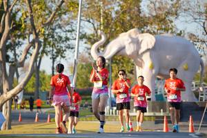 BIB: 
                            <button type="button" onclick="openModal(26189303)" class="btn btn-primary btn-sm float-right btn-popup" data-toggle="modal" data-target=".modal-high-quality">
                        <i class="fas fa-shopping-cart"></i> Add to Cart
                    </button>
                                            <button type="button" onclick="isThisMe(26189303, true)" class="btn btn-success btn-sm float-right btn-popup btn-isme hidden" data-toggle="tooltip" data-placement="bottom" title="นี่คือรูปของคุณใช่ไหม คลิกที่นี่เพื่อเอาเข้าอัลบั้ม">
                        <i class="fas fa-plus"></i> Add to album
                    </button>
                    <button type="button" onclick="isThisMe(26189303, false)" class="btn btn-warning btn-sm float-right btn-popup btn-isnotme hidden">
                        <i class="fas fa-ban"></i> Remove from album
                    </button>