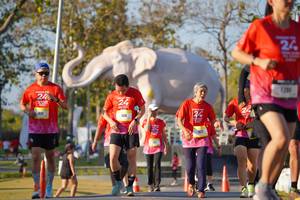 BIB: 
                            <button type="button" onclick="openModal(26187949)" class="btn btn-primary btn-sm float-right btn-popup" data-toggle="modal" data-target=".modal-high-quality">
                        <i class="fas fa-shopping-cart"></i> Add to Cart
                    </button>
                                            <button type="button" onclick="isThisMe(26187949, true)" class="btn btn-success btn-sm float-right btn-popup btn-isme hidden" data-toggle="tooltip" data-placement="bottom" title="นี่คือรูปของคุณใช่ไหม คลิกที่นี่เพื่อเอาเข้าอัลบั้ม">
                        <i class="fas fa-plus"></i> Add to album
                    </button>
                    <button type="button" onclick="isThisMe(26187949, false)" class="btn btn-warning btn-sm float-right btn-popup btn-isnotme hidden">
                        <i class="fas fa-ban"></i> Remove from album
                    </button>