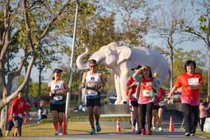 BIB: 
                            <button type="button" onclick="openModal(26187928)" class="btn btn-primary btn-sm float-right btn-popup" data-toggle="modal" data-target=".modal-high-quality">
                        <i class="fas fa-shopping-cart"></i> Add to Cart
                    </button>
                                            <button type="button" onclick="isThisMe(26187928, true)" class="btn btn-success btn-sm float-right btn-popup btn-isme hidden" data-toggle="tooltip" data-placement="bottom" title="นี่คือรูปของคุณใช่ไหม คลิกที่นี่เพื่อเอาเข้าอัลบั้ม">
                        <i class="fas fa-plus"></i> Add to album
                    </button>
                    <button type="button" onclick="isThisMe(26187928, false)" class="btn btn-warning btn-sm float-right btn-popup btn-isnotme hidden">
                        <i class="fas fa-ban"></i> Remove from album
                    </button>