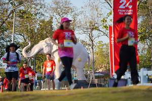 BIB: 
                            <button type="button" onclick="openModal(26189215)" class="btn btn-primary btn-sm float-right btn-popup" data-toggle="modal" data-target=".modal-high-quality">
                        <i class="fas fa-shopping-cart"></i> Add to Cart
                    </button>
                                            <button type="button" onclick="isThisMe(26189215, true)" class="btn btn-success btn-sm float-right btn-popup btn-isme hidden" data-toggle="tooltip" data-placement="bottom" title="นี่คือรูปของคุณใช่ไหม คลิกที่นี่เพื่อเอาเข้าอัลบั้ม">
                        <i class="fas fa-plus"></i> Add to album
                    </button>
                    <button type="button" onclick="isThisMe(26189215, false)" class="btn btn-warning btn-sm float-right btn-popup btn-isnotme hidden">
                        <i class="fas fa-ban"></i> Remove from album
                    </button>