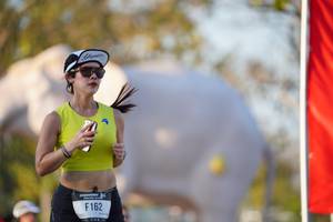 BIB: 
                            <button type="button" onclick="openModal(26188480)" class="btn btn-primary btn-sm float-right btn-popup" data-toggle="modal" data-target=".modal-high-quality">
                        <i class="fas fa-shopping-cart"></i> Add to Cart
                    </button>
                                            <button type="button" onclick="isThisMe(26188480, true)" class="btn btn-success btn-sm float-right btn-popup btn-isme hidden" data-toggle="tooltip" data-placement="bottom" title="นี่คือรูปของคุณใช่ไหม คลิกที่นี่เพื่อเอาเข้าอัลบั้ม">
                        <i class="fas fa-plus"></i> Add to album
                    </button>
                    <button type="button" onclick="isThisMe(26188480, false)" class="btn btn-warning btn-sm float-right btn-popup btn-isnotme hidden">
                        <i class="fas fa-ban"></i> Remove from album
                    </button>