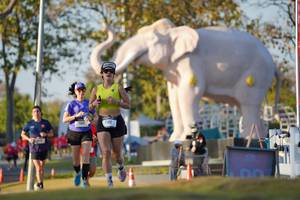 BIB: 
                            <button type="button" onclick="openModal(26188471)" class="btn btn-primary btn-sm float-right btn-popup" data-toggle="modal" data-target=".modal-high-quality">
                        <i class="fas fa-shopping-cart"></i> Add to Cart
                    </button>
                                            <button type="button" onclick="isThisMe(26188471, true)" class="btn btn-success btn-sm float-right btn-popup btn-isme hidden" data-toggle="tooltip" data-placement="bottom" title="นี่คือรูปของคุณใช่ไหม คลิกที่นี่เพื่อเอาเข้าอัลบั้ม">
                        <i class="fas fa-plus"></i> Add to album
                    </button>
                    <button type="button" onclick="isThisMe(26188471, false)" class="btn btn-warning btn-sm float-right btn-popup btn-isnotme hidden">
                        <i class="fas fa-ban"></i> Remove from album
                    </button>