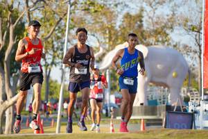 BIB: 
                            <button type="button" onclick="openModal(26188207)" class="btn btn-primary btn-sm float-right btn-popup" data-toggle="modal" data-target=".modal-high-quality">
                        <i class="fas fa-shopping-cart"></i> Add to Cart
                    </button>
                                            <button type="button" onclick="isThisMe(26188207, true)" class="btn btn-success btn-sm float-right btn-popup btn-isme hidden" data-toggle="tooltip" data-placement="bottom" title="นี่คือรูปของคุณใช่ไหม คลิกที่นี่เพื่อเอาเข้าอัลบั้ม">
                        <i class="fas fa-plus"></i> Add to album
                    </button>
                    <button type="button" onclick="isThisMe(26188207, false)" class="btn btn-warning btn-sm float-right btn-popup btn-isnotme hidden">
                        <i class="fas fa-ban"></i> Remove from album
                    </button>