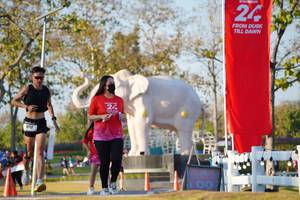 BIB: 
                            <button type="button" onclick="openModal(26188149)" class="btn btn-primary btn-sm float-right btn-popup" data-toggle="modal" data-target=".modal-high-quality">
                        <i class="fas fa-shopping-cart"></i> Add to Cart
                    </button>
                                            <button type="button" onclick="isThisMe(26188149, true)" class="btn btn-success btn-sm float-right btn-popup btn-isme hidden" data-toggle="tooltip" data-placement="bottom" title="นี่คือรูปของคุณใช่ไหม คลิกที่นี่เพื่อเอาเข้าอัลบั้ม">
                        <i class="fas fa-plus"></i> Add to album
                    </button>
                    <button type="button" onclick="isThisMe(26188149, false)" class="btn btn-warning btn-sm float-right btn-popup btn-isnotme hidden">
                        <i class="fas fa-ban"></i> Remove from album
                    </button>