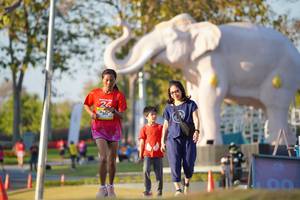 BIB: 
                            <button type="button" onclick="openModal(26188428)" class="btn btn-primary btn-sm float-right btn-popup" data-toggle="modal" data-target=".modal-high-quality">
                        <i class="fas fa-shopping-cart"></i> Add to Cart
                    </button>
                                            <button type="button" onclick="isThisMe(26188428, true)" class="btn btn-success btn-sm float-right btn-popup btn-isme hidden" data-toggle="tooltip" data-placement="bottom" title="นี่คือรูปของคุณใช่ไหม คลิกที่นี่เพื่อเอาเข้าอัลบั้ม">
                        <i class="fas fa-plus"></i> Add to album
                    </button>
                    <button type="button" onclick="isThisMe(26188428, false)" class="btn btn-warning btn-sm float-right btn-popup btn-isnotme hidden">
                        <i class="fas fa-ban"></i> Remove from album
                    </button>