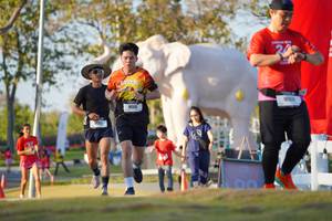 BIB: 
                            <button type="button" onclick="openModal(26188411)" class="btn btn-primary btn-sm float-right btn-popup" data-toggle="modal" data-target=".modal-high-quality">
                        <i class="fas fa-shopping-cart"></i> Add to Cart
                    </button>
                                            <button type="button" onclick="isThisMe(26188411, true)" class="btn btn-success btn-sm float-right btn-popup btn-isme hidden" data-toggle="tooltip" data-placement="bottom" title="นี่คือรูปของคุณใช่ไหม คลิกที่นี่เพื่อเอาเข้าอัลบั้ม">
                        <i class="fas fa-plus"></i> Add to album
                    </button>
                    <button type="button" onclick="isThisMe(26188411, false)" class="btn btn-warning btn-sm float-right btn-popup btn-isnotme hidden">
                        <i class="fas fa-ban"></i> Remove from album
                    </button>