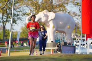 BIB: 
                            <button type="button" onclick="openModal(26188434)" class="btn btn-primary btn-sm float-right btn-popup" data-toggle="modal" data-target=".modal-high-quality">
                        <i class="fas fa-shopping-cart"></i> Add to Cart
                    </button>
                                            <button type="button" onclick="isThisMe(26188434, true)" class="btn btn-success btn-sm float-right btn-popup btn-isme hidden" data-toggle="tooltip" data-placement="bottom" title="นี่คือรูปของคุณใช่ไหม คลิกที่นี่เพื่อเอาเข้าอัลบั้ม">
                        <i class="fas fa-plus"></i> Add to album
                    </button>
                    <button type="button" onclick="isThisMe(26188434, false)" class="btn btn-warning btn-sm float-right btn-popup btn-isnotme hidden">
                        <i class="fas fa-ban"></i> Remove from album
                    </button>