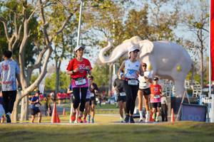 BIB: 
                            <button type="button" onclick="openModal(26188537)" class="btn btn-primary btn-sm float-right btn-popup" data-toggle="modal" data-target=".modal-high-quality">
                        <i class="fas fa-shopping-cart"></i> Add to Cart
                    </button>
                                            <button type="button" onclick="isThisMe(26188537, true)" class="btn btn-success btn-sm float-right btn-popup btn-isme hidden" data-toggle="tooltip" data-placement="bottom" title="นี่คือรูปของคุณใช่ไหม คลิกที่นี่เพื่อเอาเข้าอัลบั้ม">
                        <i class="fas fa-plus"></i> Add to album
                    </button>
                    <button type="button" onclick="isThisMe(26188537, false)" class="btn btn-warning btn-sm float-right btn-popup btn-isnotme hidden">
                        <i class="fas fa-ban"></i> Remove from album
                    </button>